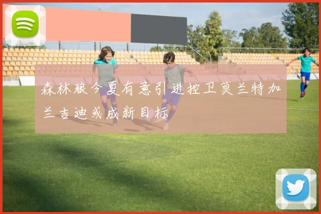 森林狼今夏有意引进控卫莫兰特加兰吉迪或成新目标