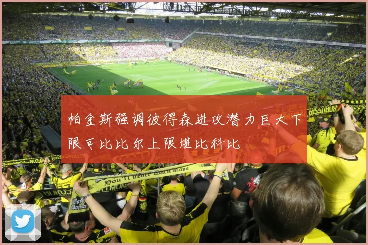 帕金斯强调彼得森进攻潜力巨大下限可比比尔上限堪比科比