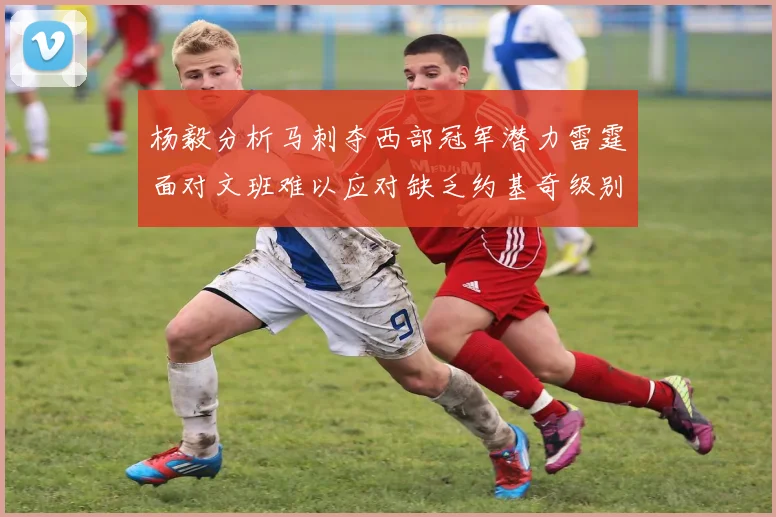 杨毅分析马刺夺西部冠军潜力雷霆面对文班难以应对缺乏约基奇级别球员